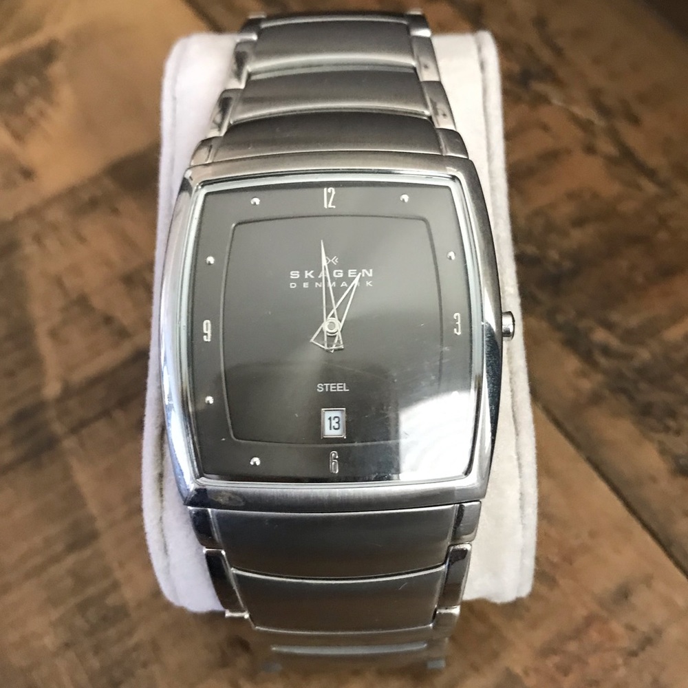 Skagen Denmark Steel Watch